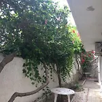 Mar 13 توريمولينوس