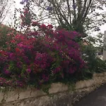 Mar 13 شقة توريمولينوس