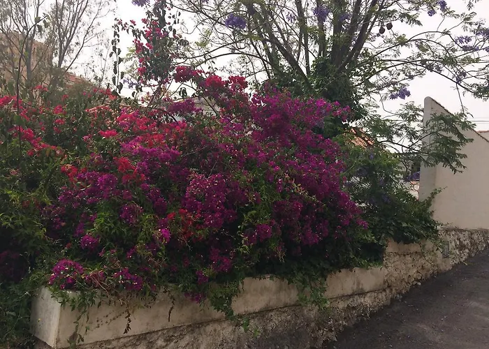 Mar 13 Lejlighed Torremolinos