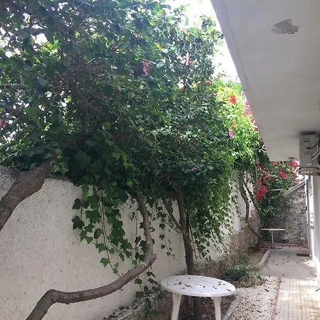 Mar 13 טורמולינוס